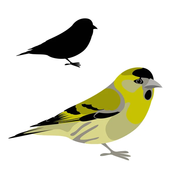 Siskin uccello vettore illustrazione stile piatto silhouette — Vettoriale Stock