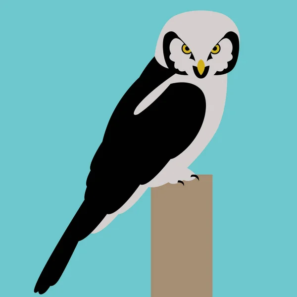 Hawk hibou oiseau visage vecteur illustration plat style profil — Image vectorielle