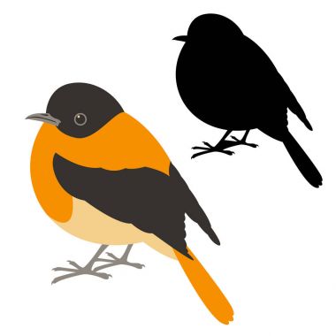 Robin vektör çizim düz stil profil yan siyah 