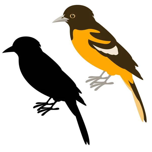 Baltimore oriole vettoriale illustrazione piatto nero silhouette — Vettoriale Stock