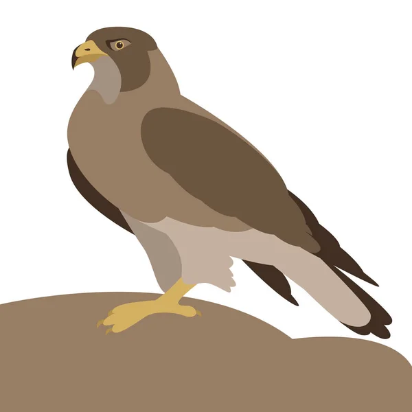 Orzeł ptak wektor ilustracja płaski profil — Wektor stockowy