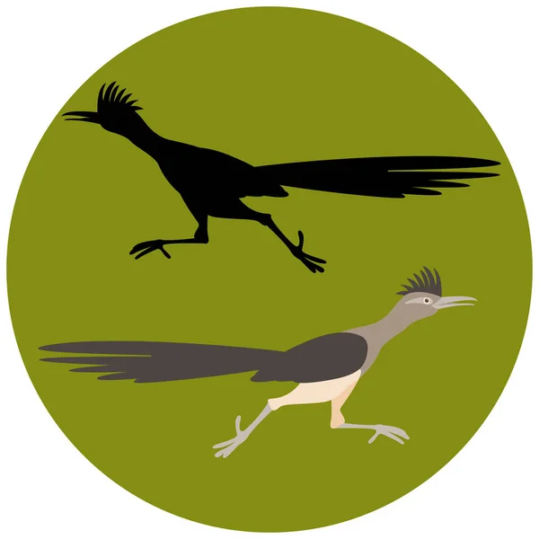 Roadrunner pássaro correndo vetor ilustração estilo plano silhueta preta — Vetor de Stock