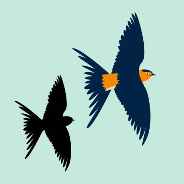 vektör çizim düz stil profil yan siyah yutmak 