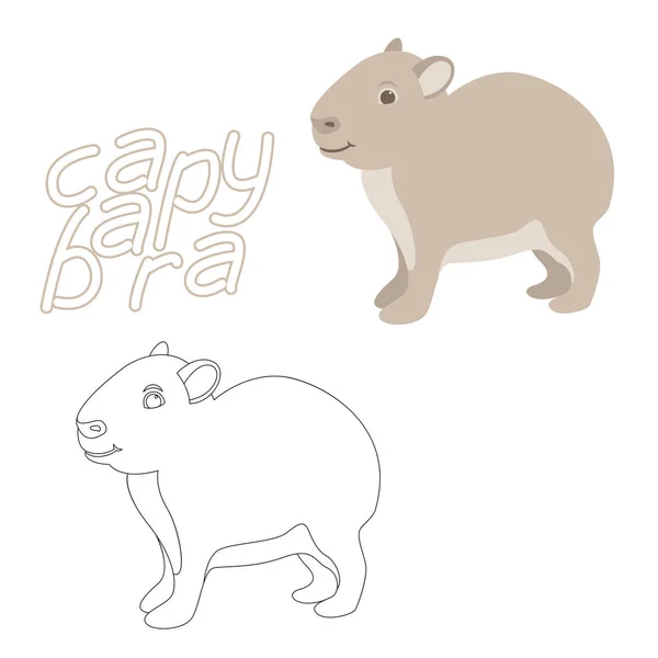 Capybara mewarnai buku vektor ilustrasi gaya datar sisi profil - Stok Vektor