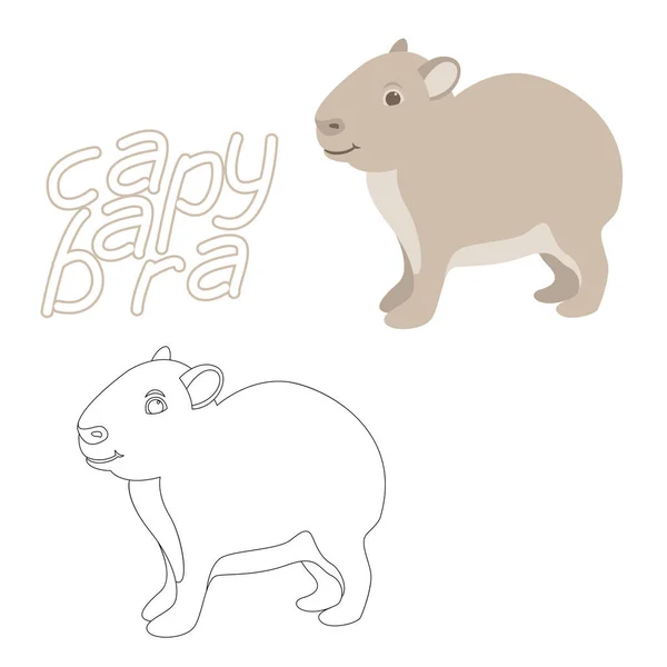 Alfabeto de livro para colorir de animais isolado no fundo branco capivara  de desenho vetorial