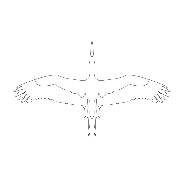 Kuş leylek uçmak vektör çizim boyama kitabı — Stok Vektör