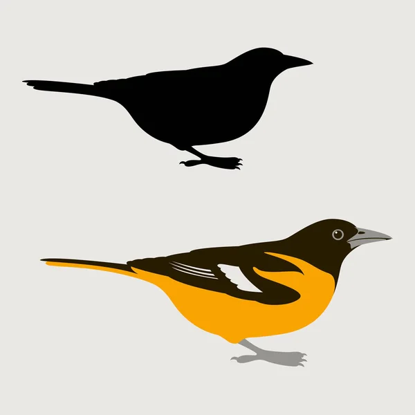 Pássaro oriole vetor ilustração plana estilo preto — Vetor de Stock