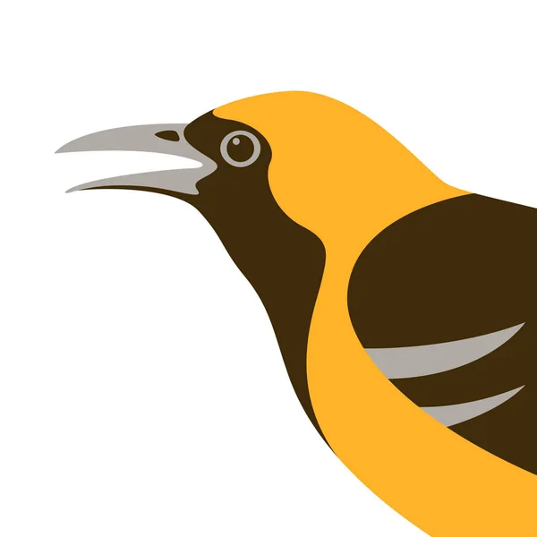 Fågel oriole vektor illustration platt stil profil — Stock vektor