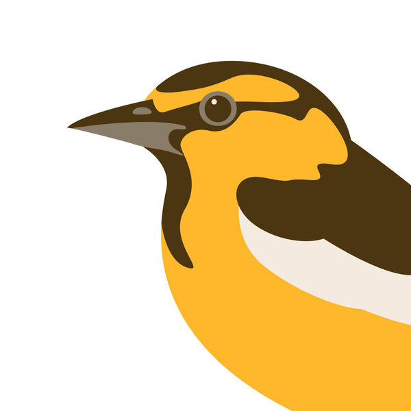 Профиль вектора птичьего полёта
