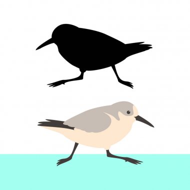 sandpiper bird vector illustration flat style  black clipart