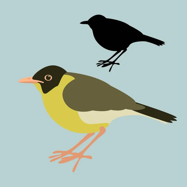 Nightingale vector illustratie vlakke stijl silhouet gespot — Stockvector