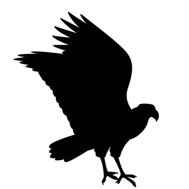 Caracara kartal vektör illüstrasyon siluet siyah profil yan