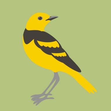 Altın incir kuşu vektör çizim düz stil profili 
