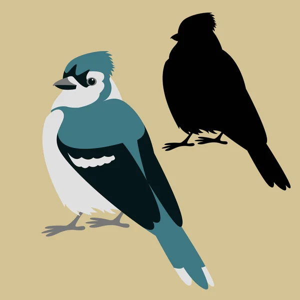 Blue jay vogel vector illustratie vlakke stijl silhouet — Stockvector