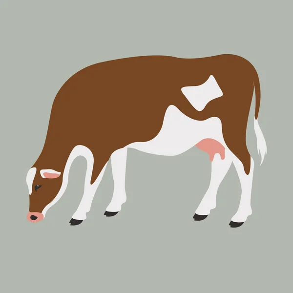 Vaca vector ilustración, estilo plano, vista de perfil — Vector de stock