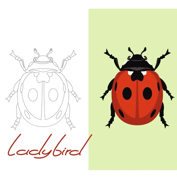 Ladybird vector ilustração estilo plano, desenho de forro —  Vetores de Stock