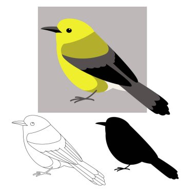 Prothonotary warbler, vektör illüstrasyonu, düz biçim, astarlama çizimi