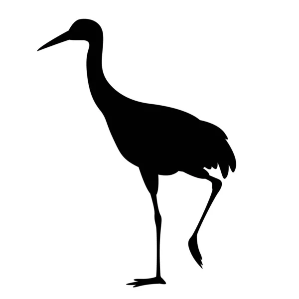 Vinç kuşu, vektör çizimi, siyah siluet, profil — Stok Vektör