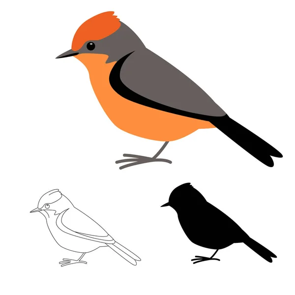 Robin Oiseau Style Plat Silhouette Noire Jeu Dessin Doublure — Image vectorielle