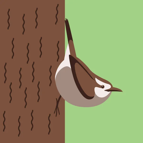 Wren Bird Vektorová Ilustrace Plochý Styl Náhled Profil — Stockový vektor