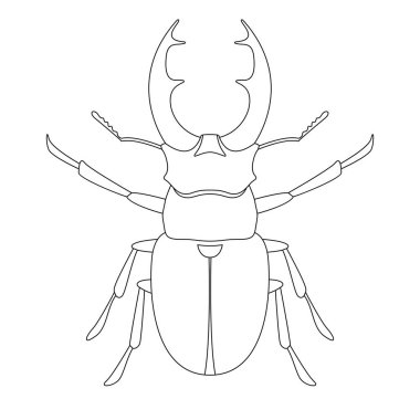 geyik böceği, vektör illüstrasyonu, çizim, ön taraf.