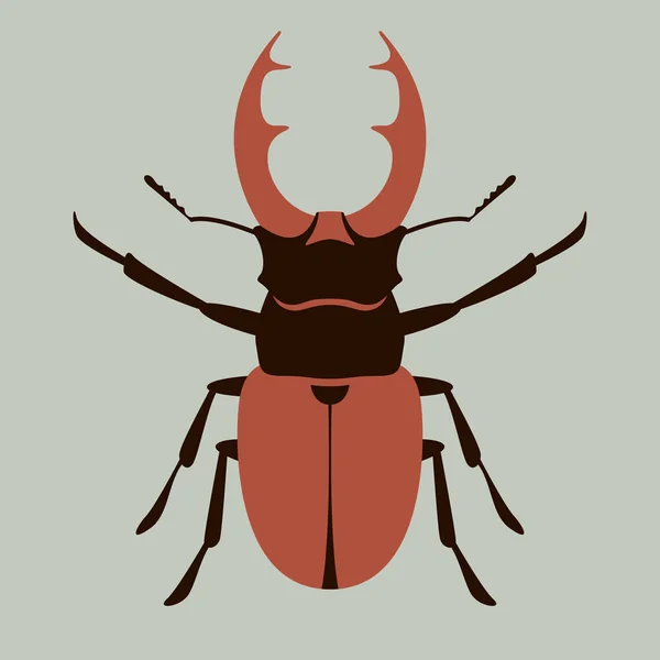 Deer Beetle Vector Illustration Flat Style Front Side — Stock Vector