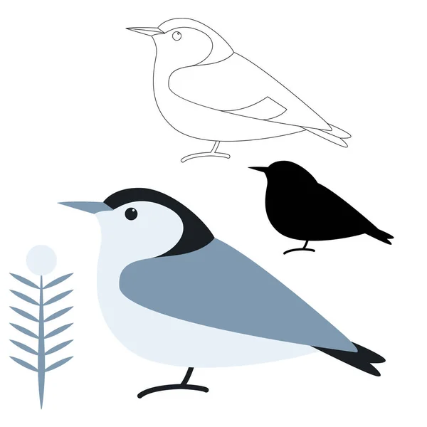 Blanco Pecho Nuthatch Norte Americano Pájaro Estilo Plano Conjunto — Vector de stock