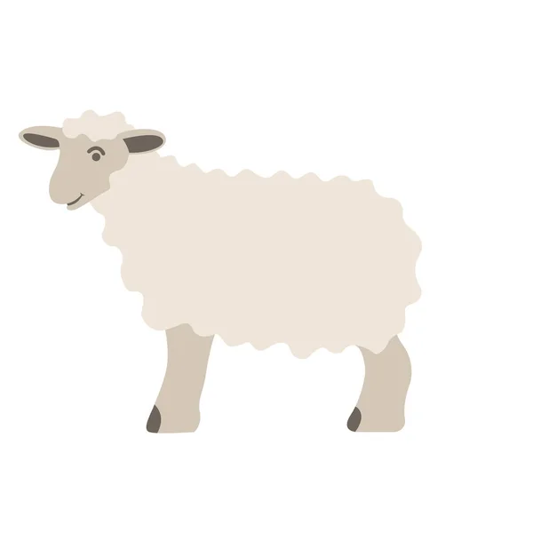 Καρτούν Πρόβατα Διανυσματική Απεικόνιση Επίπεδη Στυλ Πλευρά Προφίλ — Διανυσματικό Αρχείο