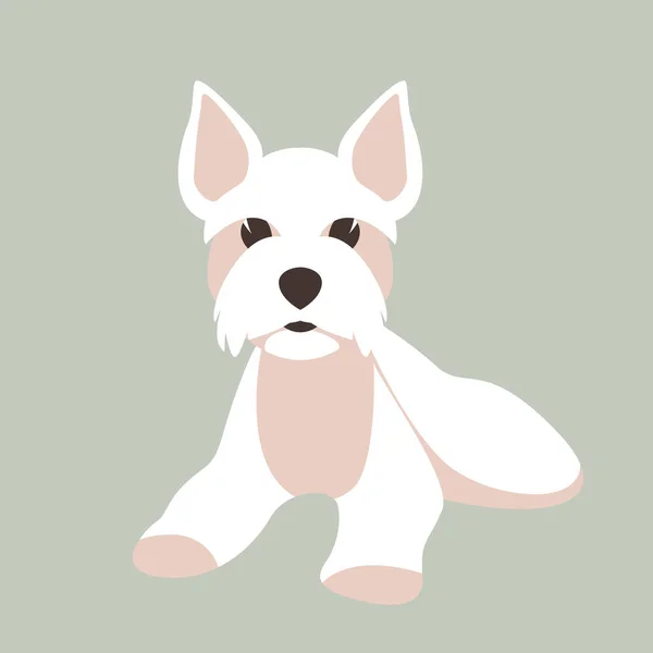 Maltese Dog Vector Illustration Flat Style Front View — Stock Vector
