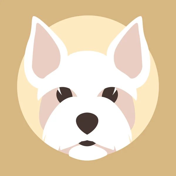Maltees Hoofd Hond Vector Illustratie Platte Stijl Vooraanzicht — Stockvector