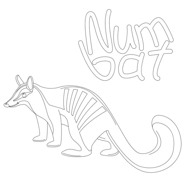 Numbat Ilustración Vectorial Dibujo Revestimiento Lado Del Perfil — Vector de stock