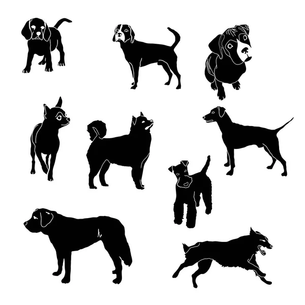 Siluetas vectoriales de perros de diferentes razas — Vector de stock