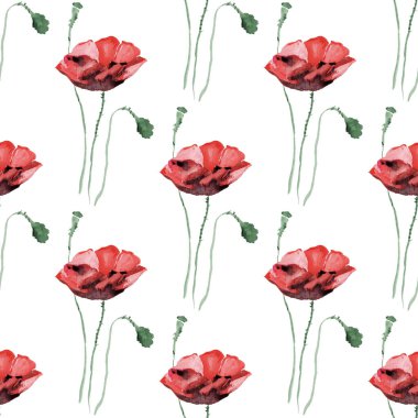 Suluboya çiçek seamless modeli ile çiçekler ve yapraklar. Haşhaş.