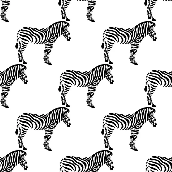 Fundo sem costura com zebras . —  Vetores de Stock