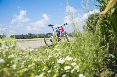 Bisiklet yol üzerinde. Bir bisiklet gezisi sırasında dinlenmek. Güzel doğa etrafında bisiklet. Fotoğraf sağlıklı yaşam teşvik amaçlı olduğunu.