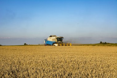 Biçerdöver buğday alan birleştirmek