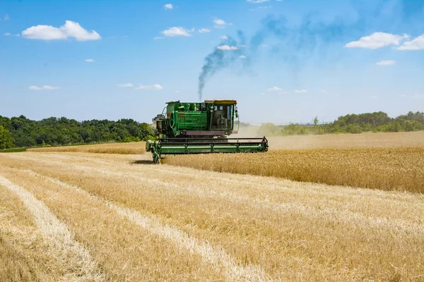 Biçerdöver buğday alan birleştirmek