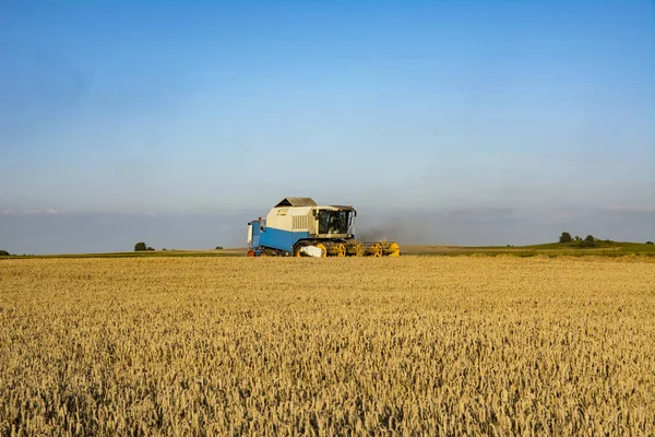 Biçerdöver buğday alan birleştirmek