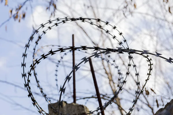 Barbed Wire Fence Closeup Sky Barbed Wire Image Symbolizing Restriction — Stock Photo, Image