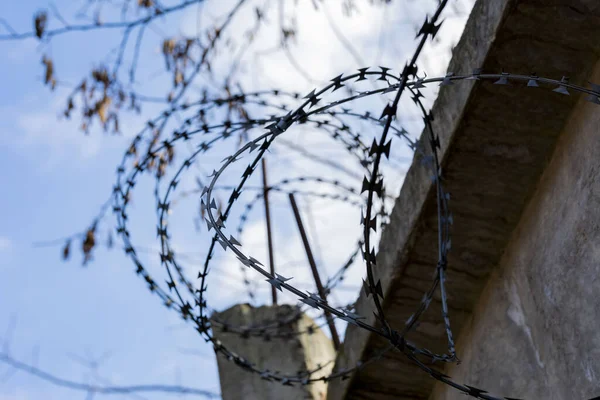 Barbed Wire Fence Closeup Sky Barbed Wire Image Symbolizing Restriction — Stock Photo, Image