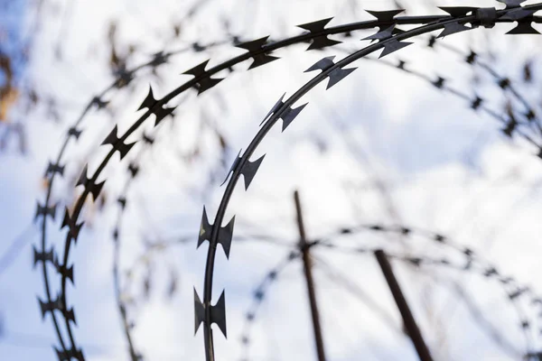 barbed wire on the fence closeup. the sky through the barbed wire. image symbolizing the restriction of freedom, danger, gray objects.