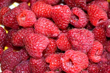 Yaz parlak güzel Kırmızı Ahududu