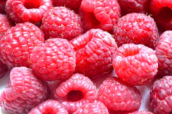 Frambuesas, verano brillante hermoso rojo — Foto de Stock