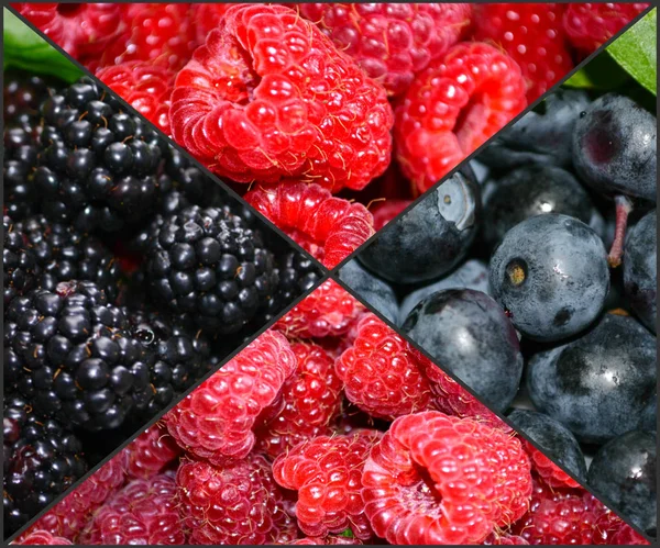 Collage, bayas. frambuesas, arándanos, moras . — Foto de Stock