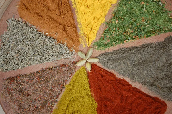 Spices, set in the form of a circle. — Stock Photo, Image