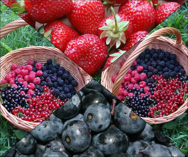 콜라주 딸기와 딸기 바구니 — 스톡 사진