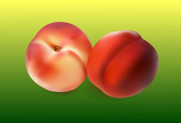 Zwei Pfirsichfrüchte isoliert auf grünem Hintergrund — Stockvektor