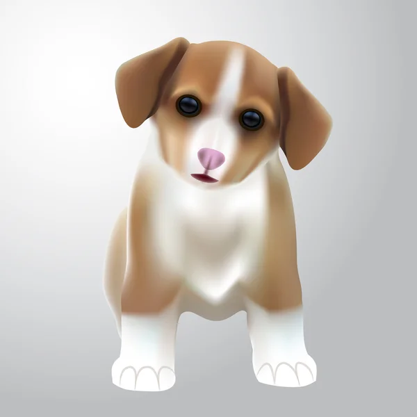 Vector illustration of a cute dog — Stock Vector