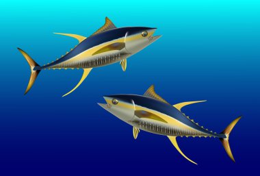 Yellow fin tuna clipart