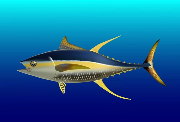 黄鳍金枪鱼 — 图库矢量图片